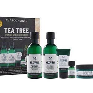 TeaTree Blemish Face Wash Set